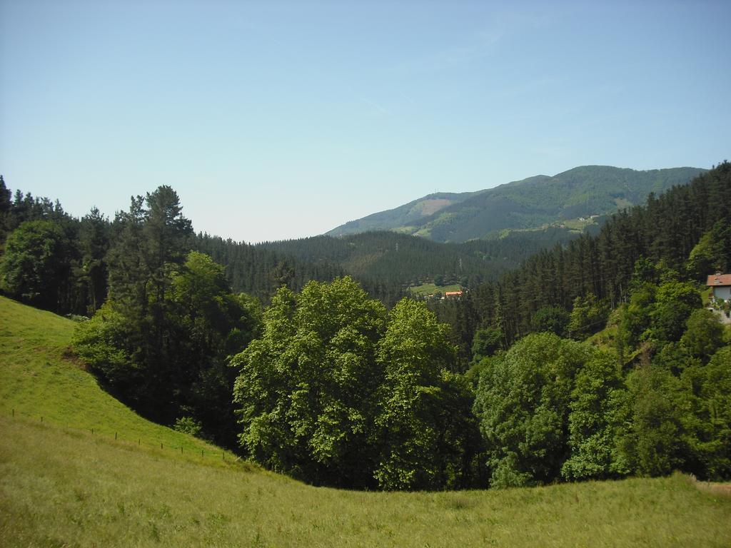 Casa Rural Zulueta Azcoitia Екстер'єр фото